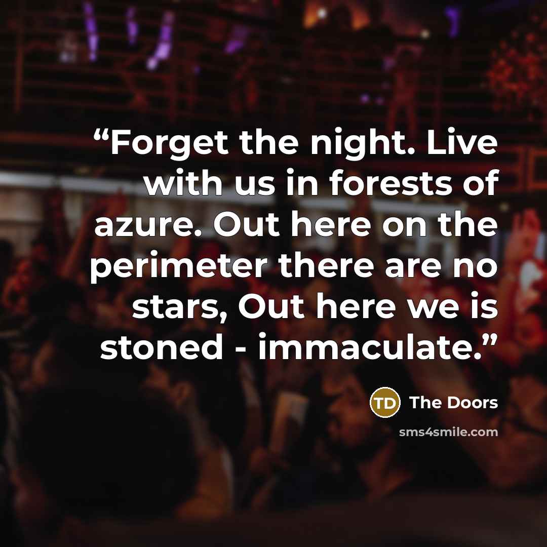 “Forget the night. Live with us in forests of azure. Out here on the perimeter there are no stars, Out here we is stoned - immaculate.” quote by The Doors