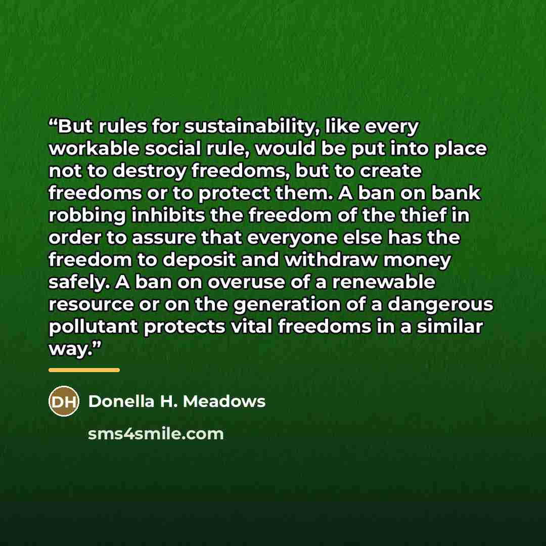 “But rules for sustainability, like every workable social rule, would be put into place not to destroy freedoms, but to create freedoms or to protect them. A ban on bank robbing inhibits the freedom of the thief in order to assure that everyone else has the freedom to deposit and withdraw money…” quote by Donella H. Meadows
