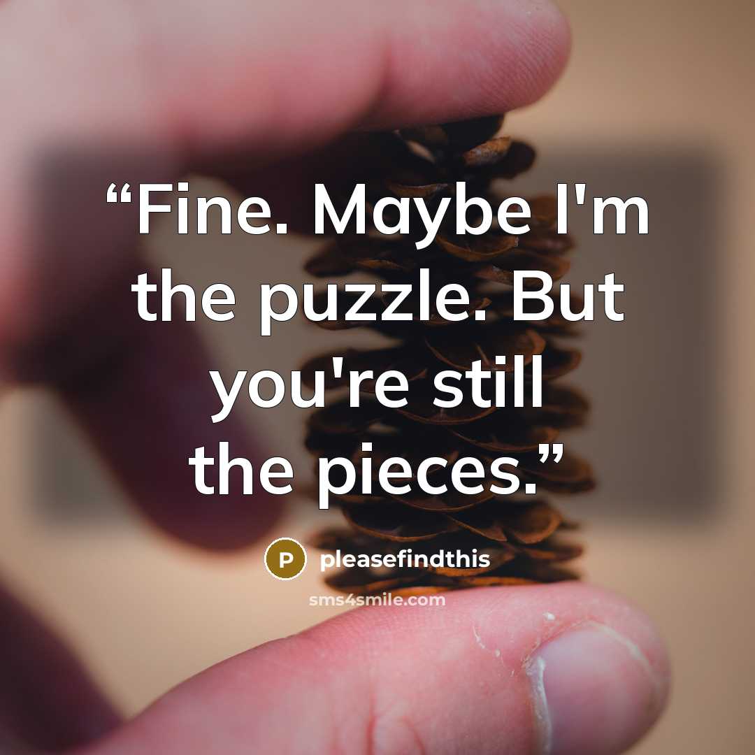 “Fine. Maybe I'm the puzzle. But you're still the pieces.” quote by pleasefindthis