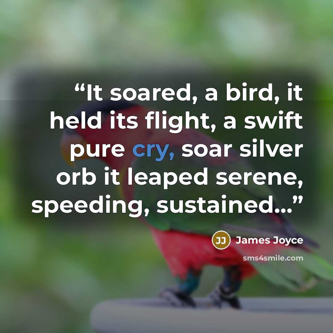“It soared, a bird, it held its flight, a swift pure cry, soar silver orb it leaped serene, speeding, sustained...” quote by James Joyce