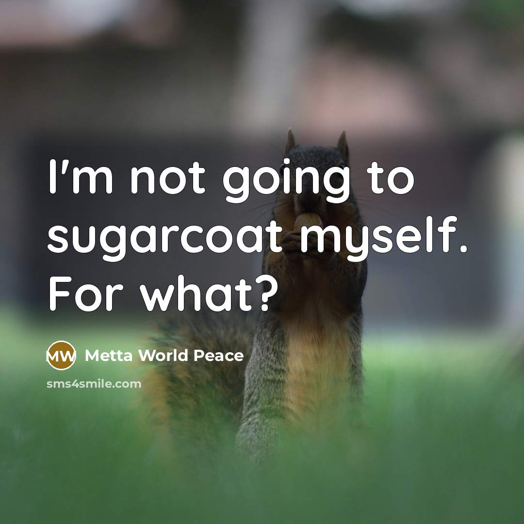 “I'm not going to sugarcoat myself. For what?” quote by Metta World Peace