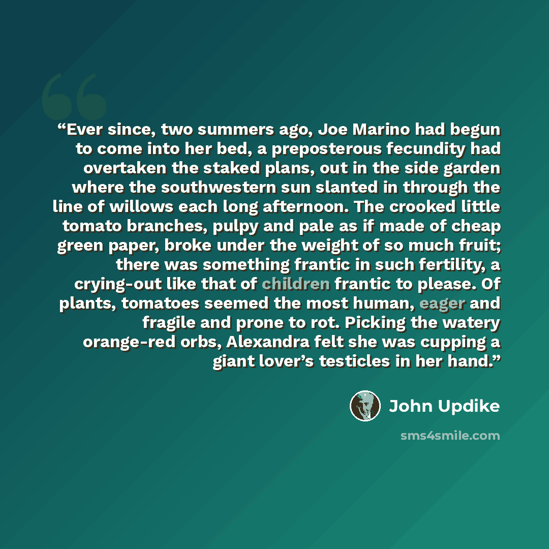“Ever since, two summers ago, Joe Marino had begun to come into her bed, a preposterous fecundity had overtaken the staked plans, out in the side garden where the southwestern sun slanted in through the line of willows each long afternoon. The crooked little tomato branches, pulpy and pale as if…” quote by John Updike