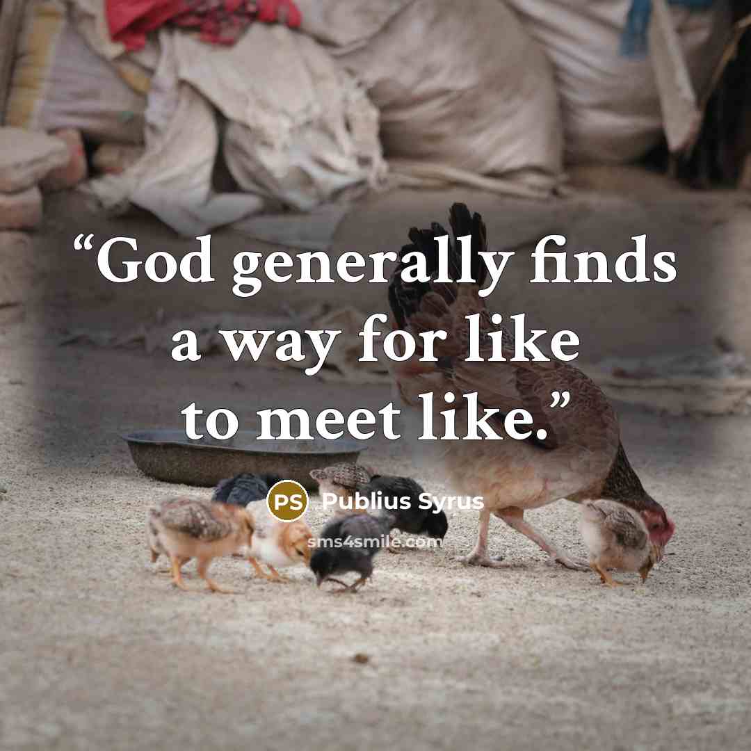 “God generally finds a way for like to meet like.” quote by Publius Syrus