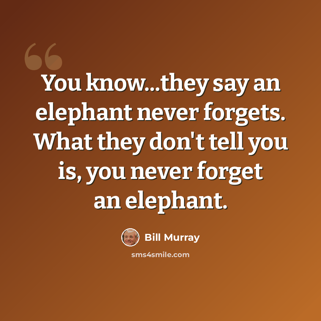 “You know...they say an elephant never forgets. What they don't tell you is, you never forget an elephant.” quote by Bill Murray
