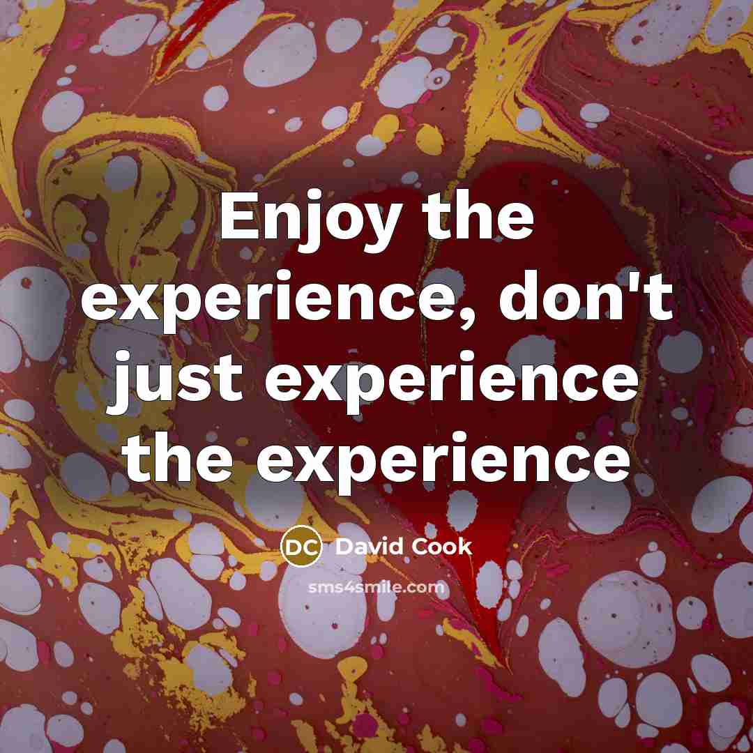 “Enjoy the experience, don't just experience the experience” quote by David Cook