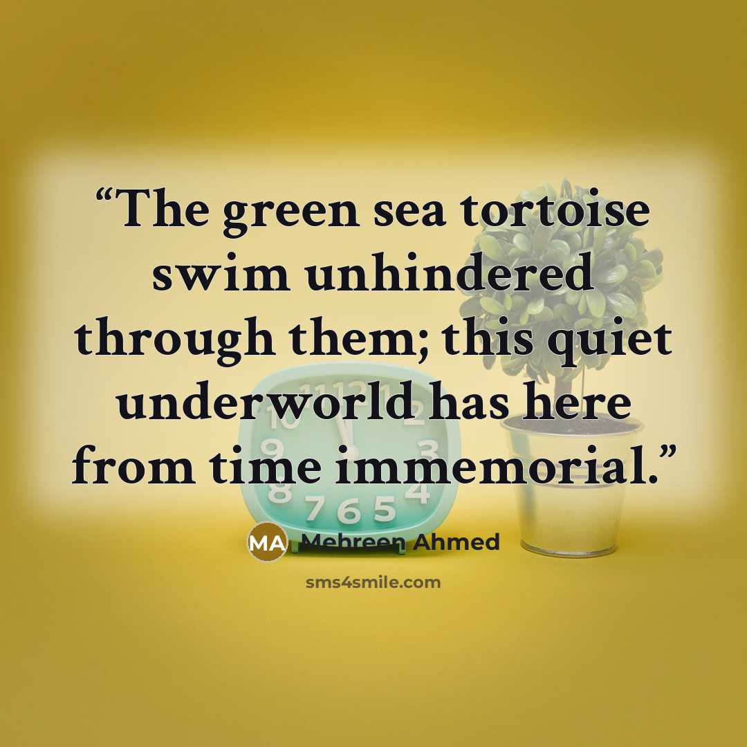 “The green sea tortoise swim unhindered through them; this quiet underworld has here from time immemorial.” quote by Mehreen Ahmed