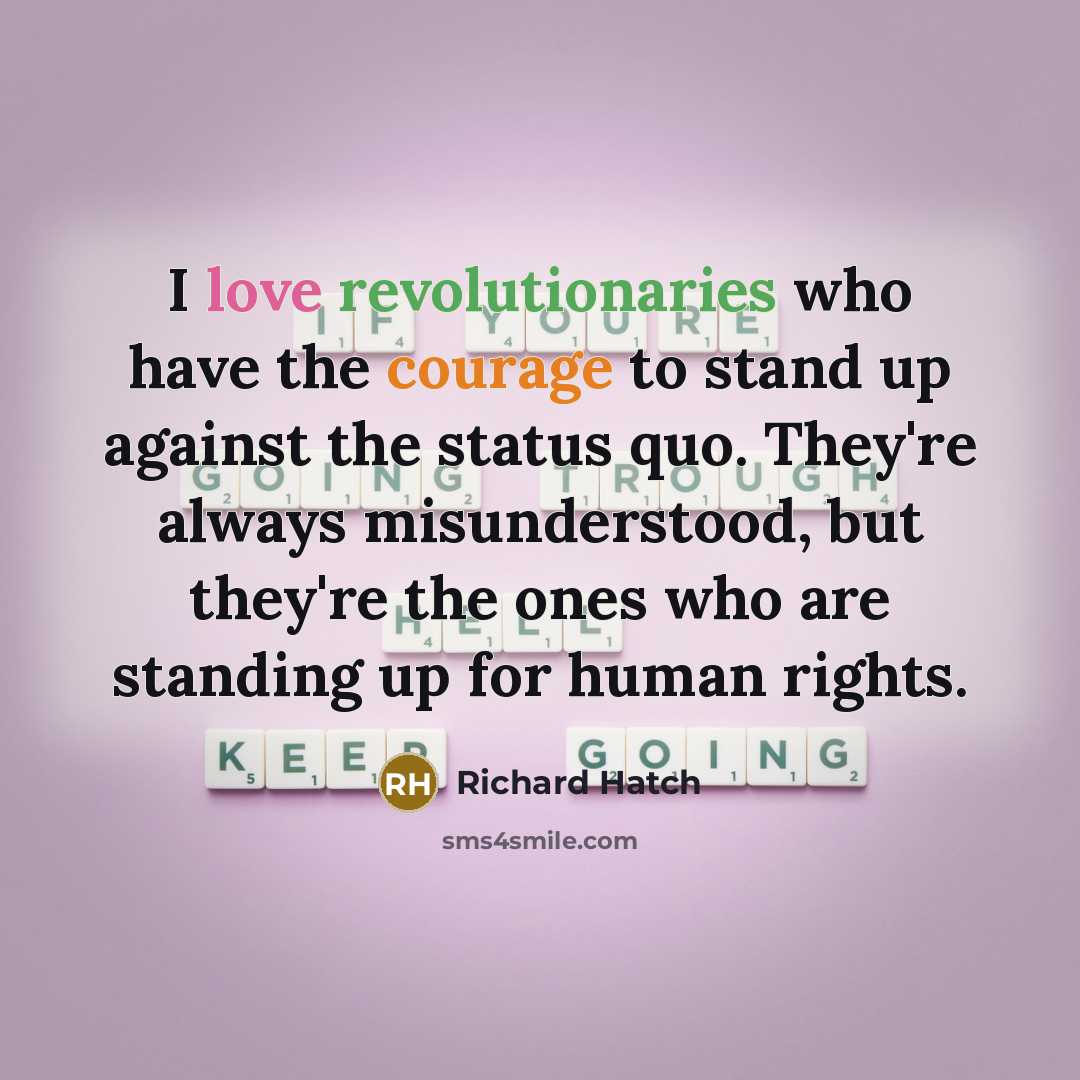 “I love revolutionaries who have the courage to stand up against the status quo. They're always misunderstood, but they're the ones who are standing up for human rights.” quote by Richard Hatch