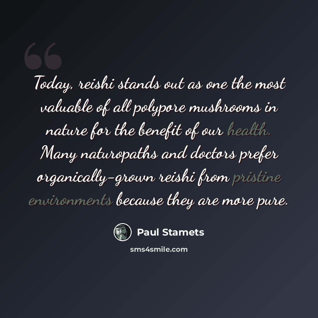 “Today, reishi stands out as one the most valuable of all polypore mushrooms in nature for the benefit of our health. Many naturopaths and doctors prefer organically-grown reishi from pristine environments because they are more pure.” quote by Paul Stamets
