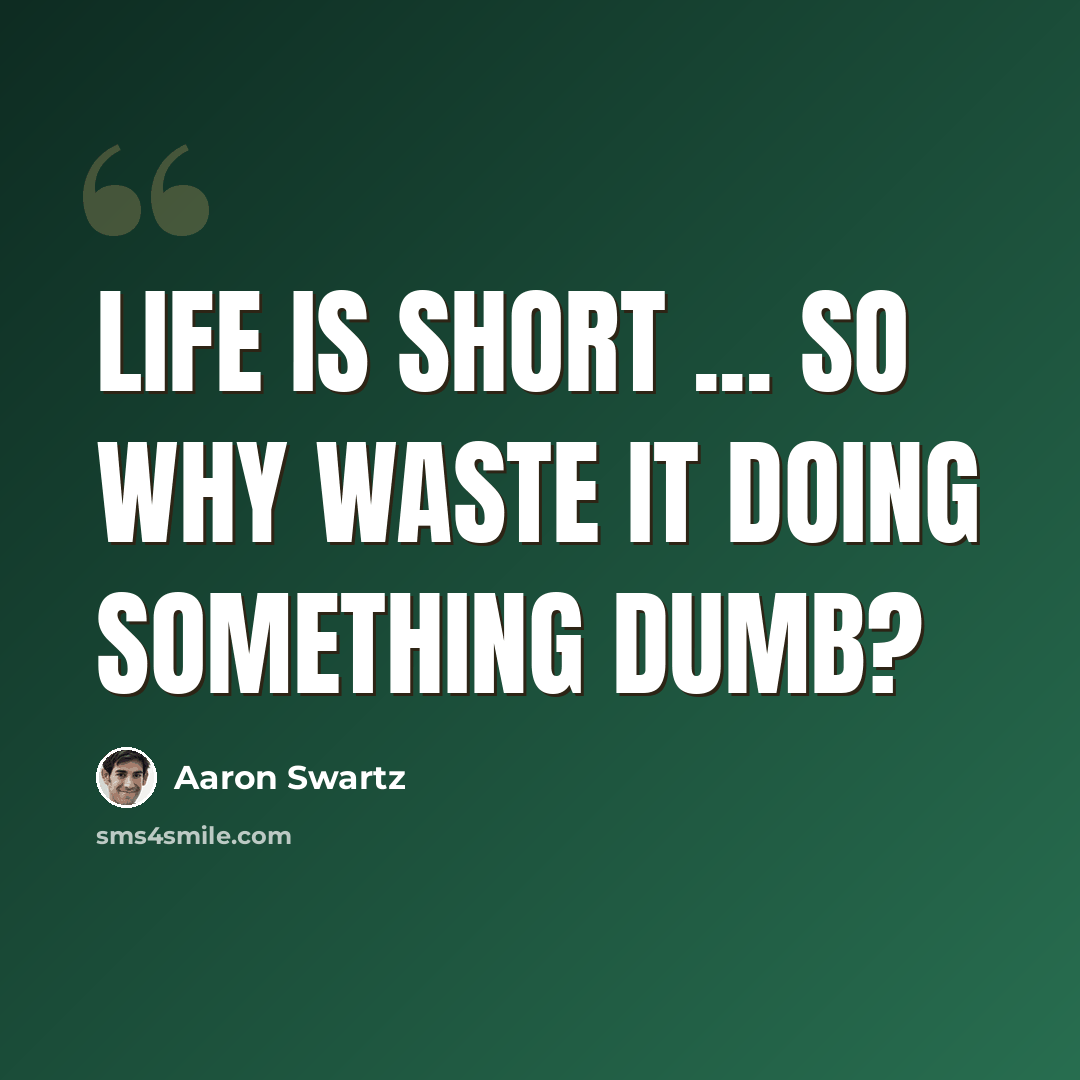 “Life is short ... so why waste it doing something dumb?” quote by Aaron Swartz