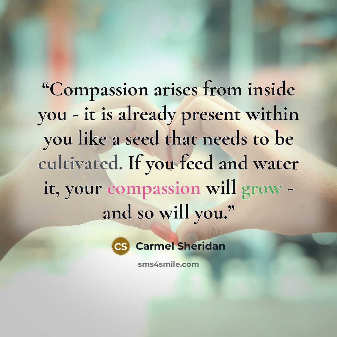 “Compassion arises from inside you - it is already present within you like a seed that needs to be cultivated. If you feed and water it, your compassion will grow - and so will you.” quote by Carmel Sheridan