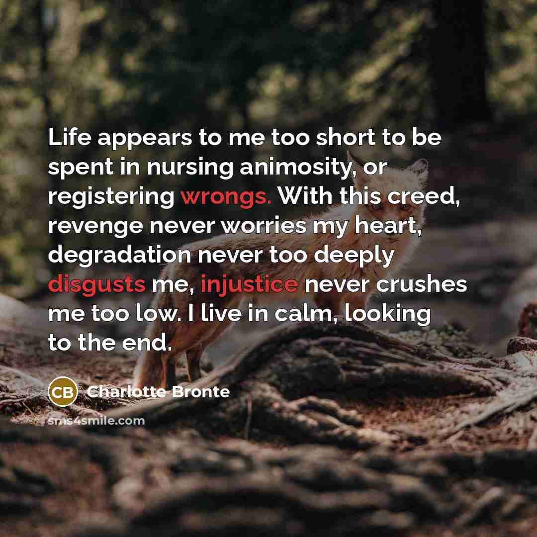 “Life appears to me too short to be spent in nursing animosity, or registering wrongs. With this creed, revenge never worries my heart, degradation never too deeply disgusts me, injustice never crushes me too low. I live in calm, looking to the end.” quote by Charlotte Bronte
