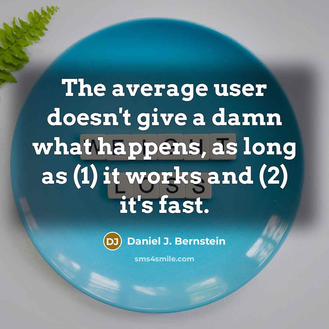 “The average user doesn't give a damn what happens, as long as (1) it works and (2) it's fast.” quote by Daniel J. Bernstein