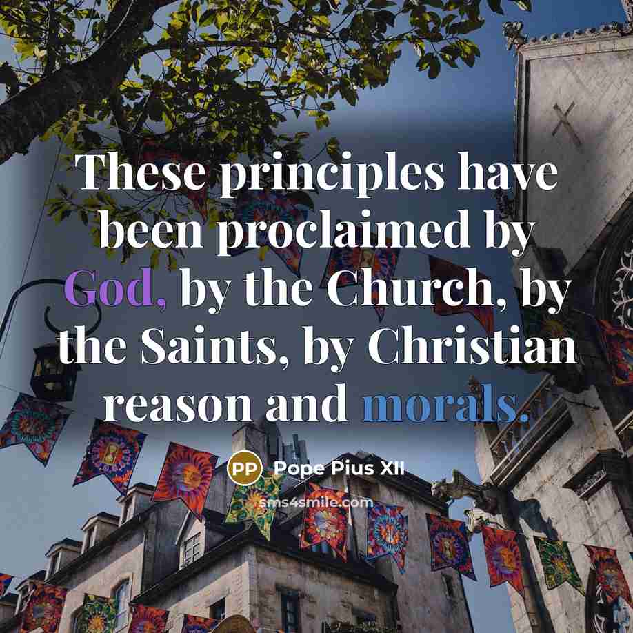“These principles have been proclaimed by God, by the Church, by the Saints, by Christian reason and morals.” quote by Pope Pius XII