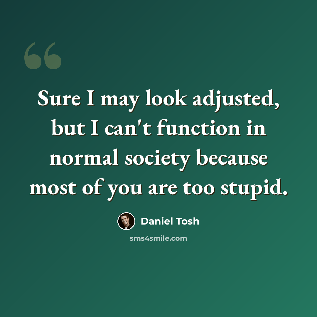 “Sure I may look adjusted, but I can't function in normal society because most of you are too stupid.” quote by Daniel Tosh