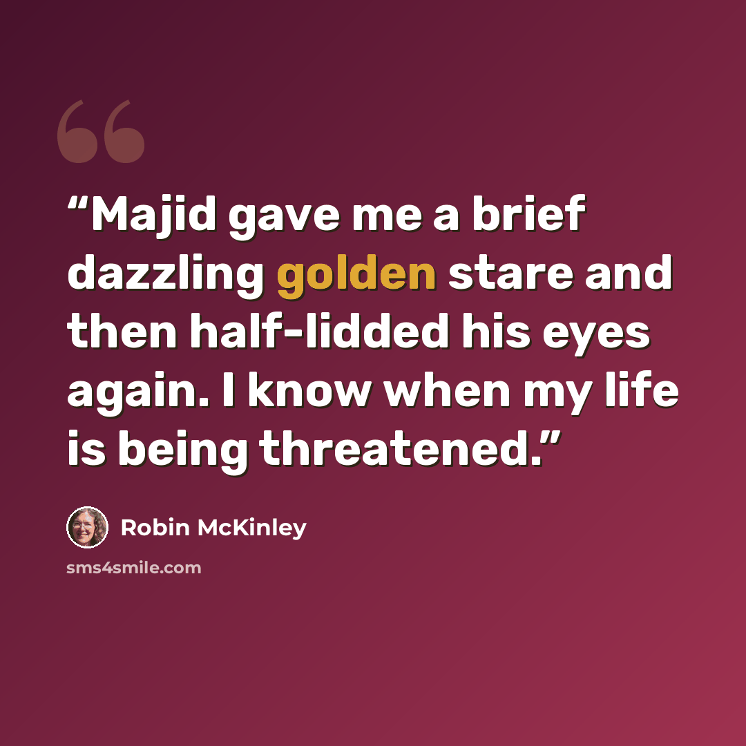 “Majid gave me a brief dazzling golden stare and then half-lidded his eyes again. I know when my life is being threatened.” quote by Robin McKinley