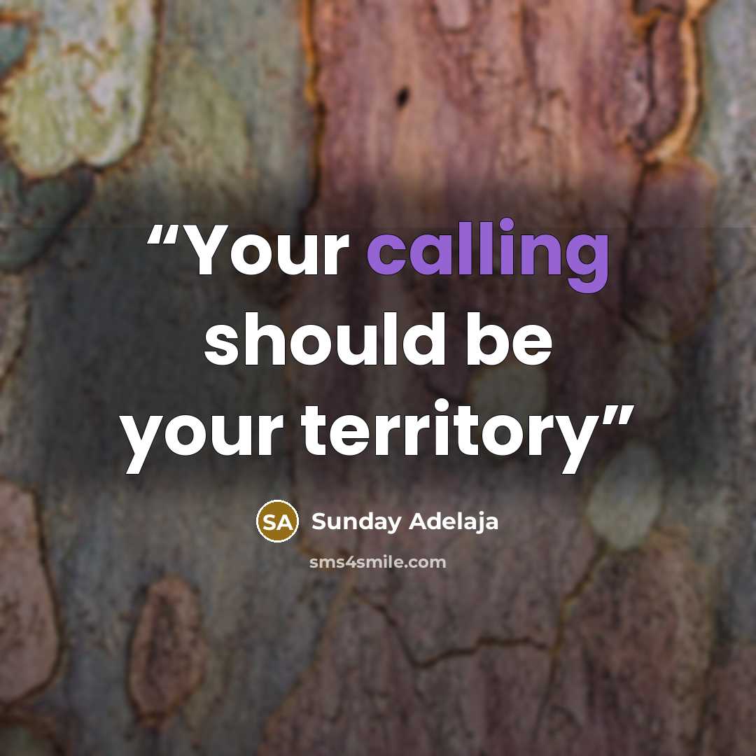 “Your calling should be your territory” quote by Sunday Adelaja