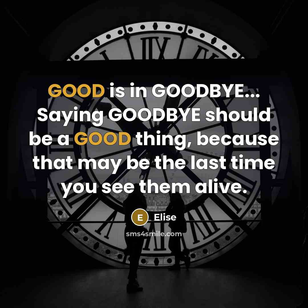 “GOOD is in GOODBYE... Saying GOODBYE should be a GOOD thing, because that may be the last time you see them alive.” quote by Elise