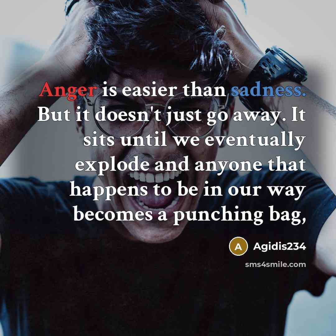 “Anger is easier than sadness. But it doesn't just go away. It sits until we eventually explode and anyone that happens to be in our way becomes a punching bag,” quote by Agidis234