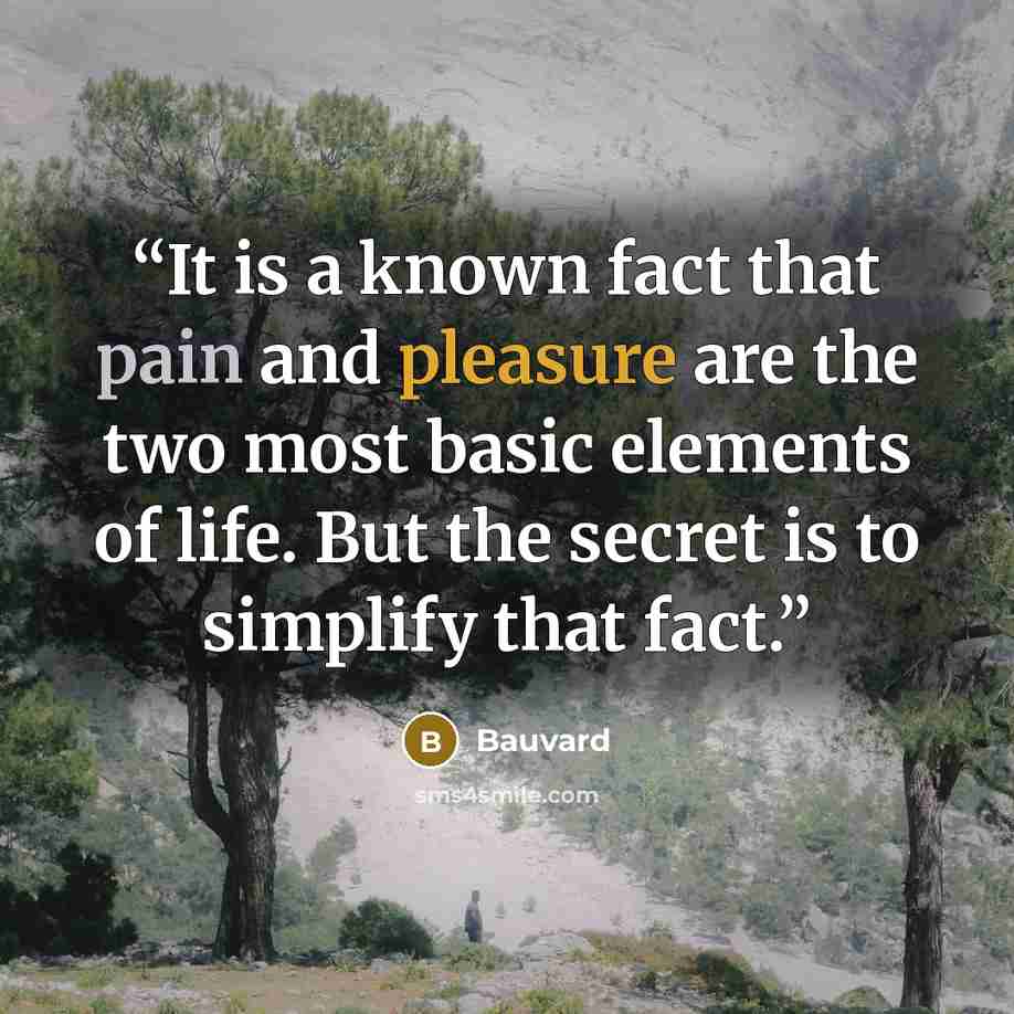 “It is a known fact that pain and pleasure are the two most basic elements of life. But the secret is to simplify that fact.” quote by Bauvard