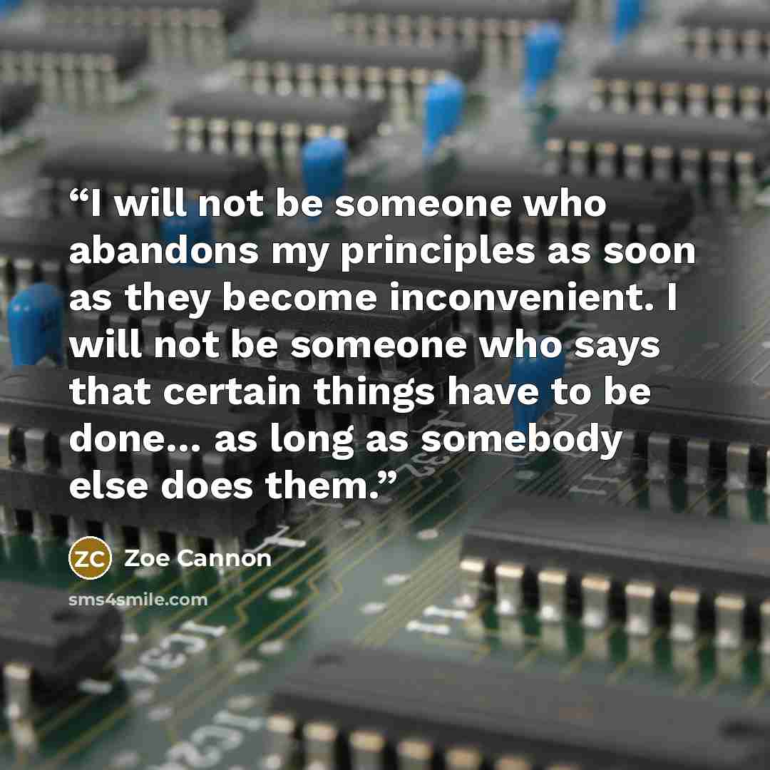 “I will not be someone who abandons my principles as soon as they become inconvenient. I will not be someone who says that certain things have to be done… as long as somebody else does them.” quote by Zoe Cannon