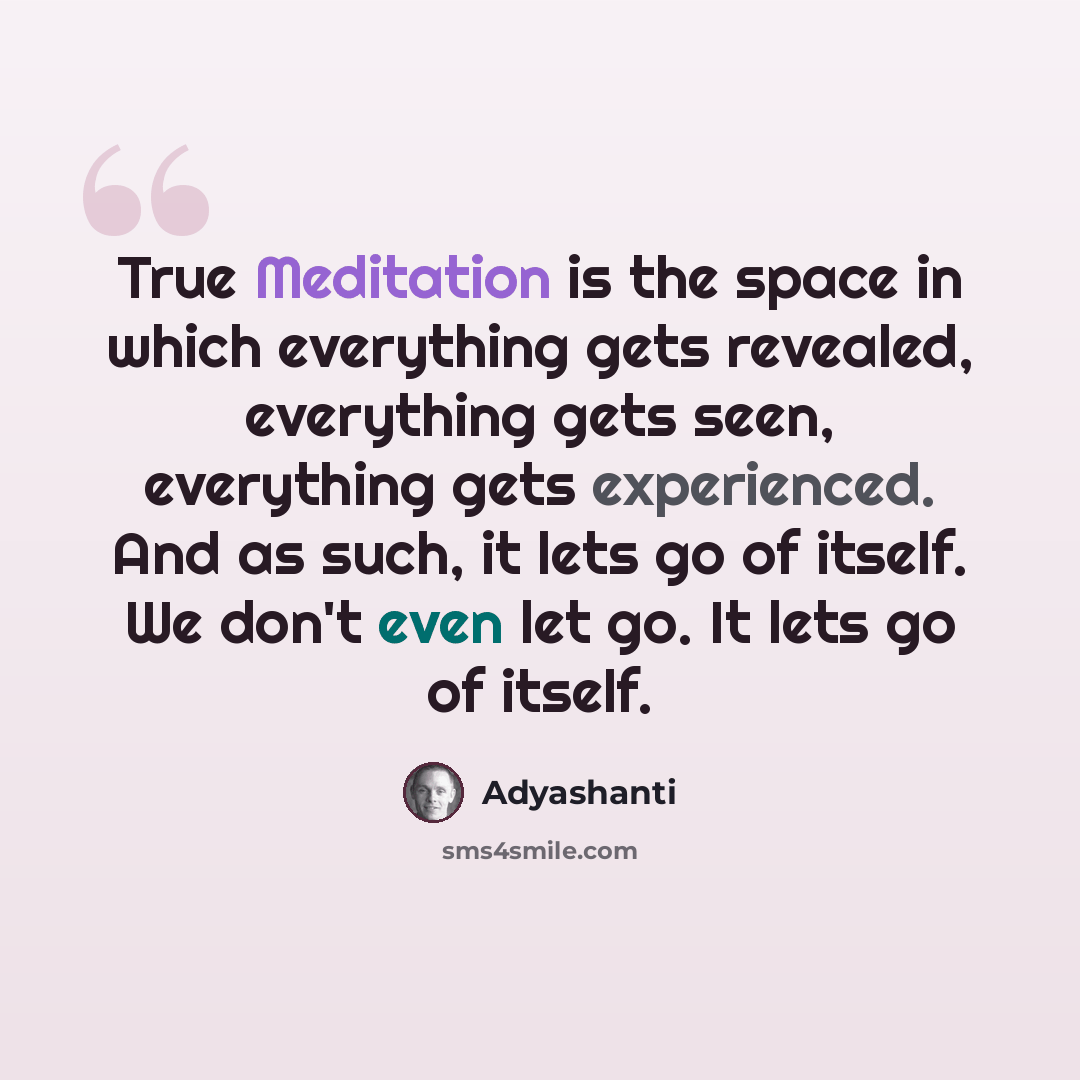 “True Meditation is the space in which everything gets revealed, everything gets seen, everything gets experienced. And as such, it lets go of itself. We don't even let go. It lets go of itself.” quote by Adyashanti