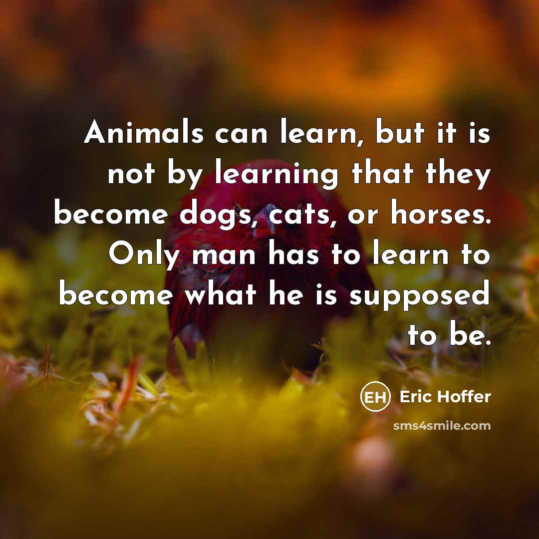 “Animals can learn, but it is not by learning that they become dogs, cats, or horses. Only man has to learn to become what he is supposed to be.” quote by Eric Hoffer