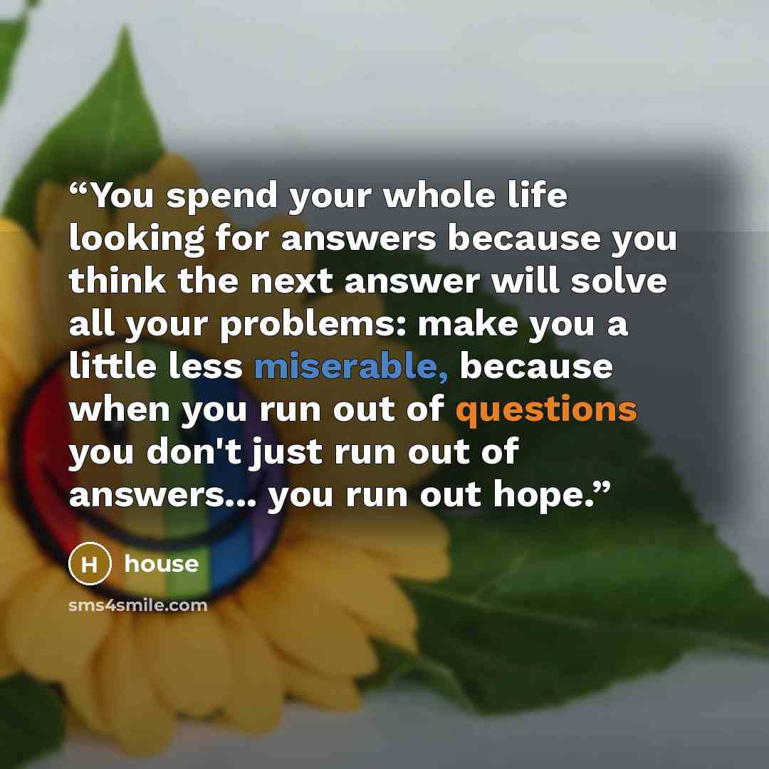“You spend your whole life looking for answers because you think the next answer will solve all your problems: make you a little less miserable, because when you run out of questions you don't just run out of answers... you run out hope.” quote by house