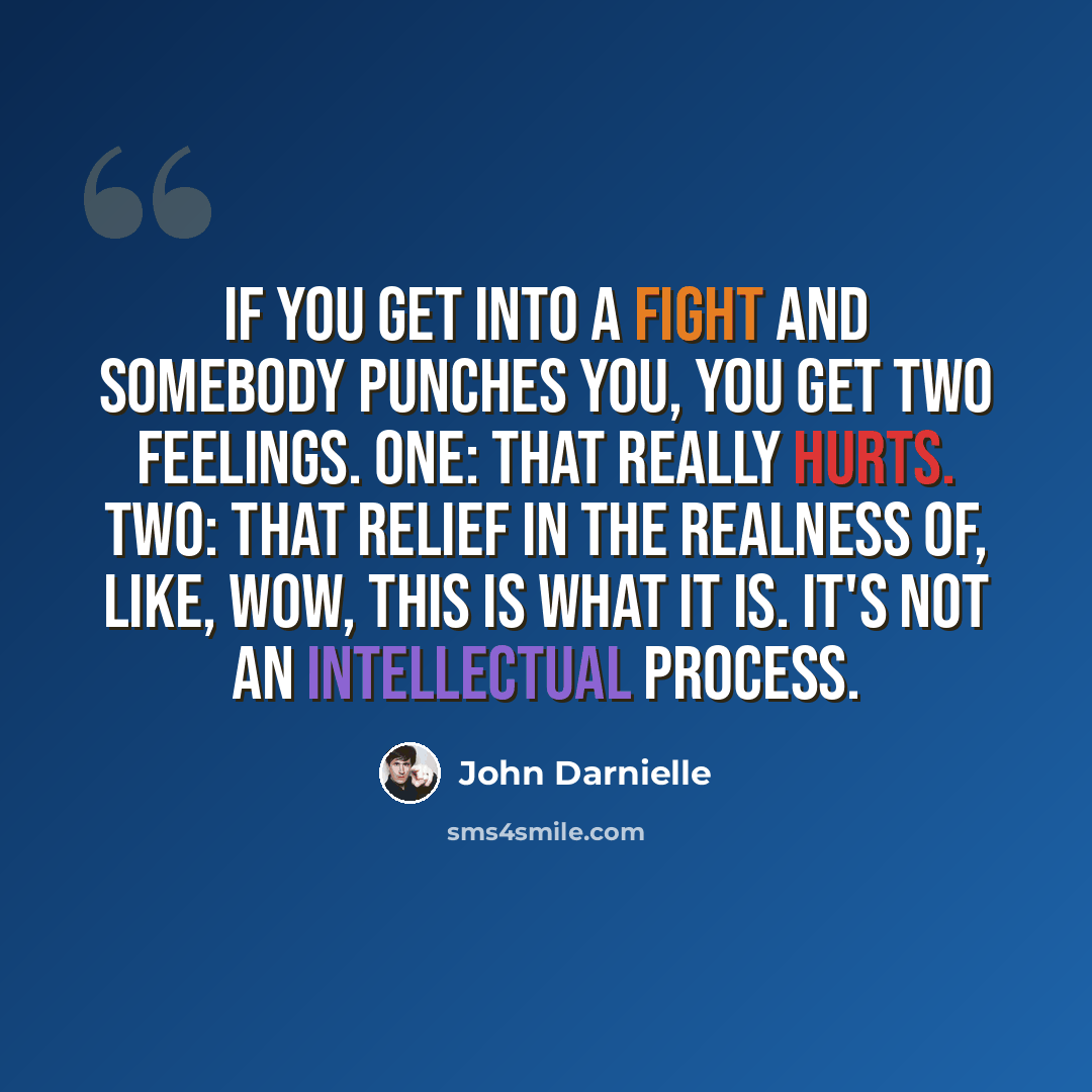 “If you get into a fight and somebody punches you, you get two feelings. One: That really hurts. Two: That relief in the realness of, like, Wow, this is what it is. It's not an intellectual process.” quote by John Darnielle