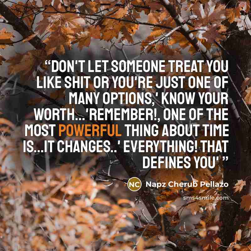 “Don't let someone treat you like shit or you're just one of many options,' Know your worth...'Remember!, One of The most powerful thing about time is...it CHANGES..' everything! that defines you'” quote by Napz Cherub Pellazo
