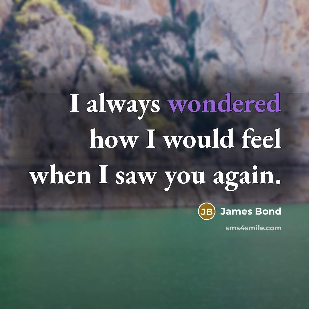 “I always wondered how I would feel when I saw you again.” quote by James Bond