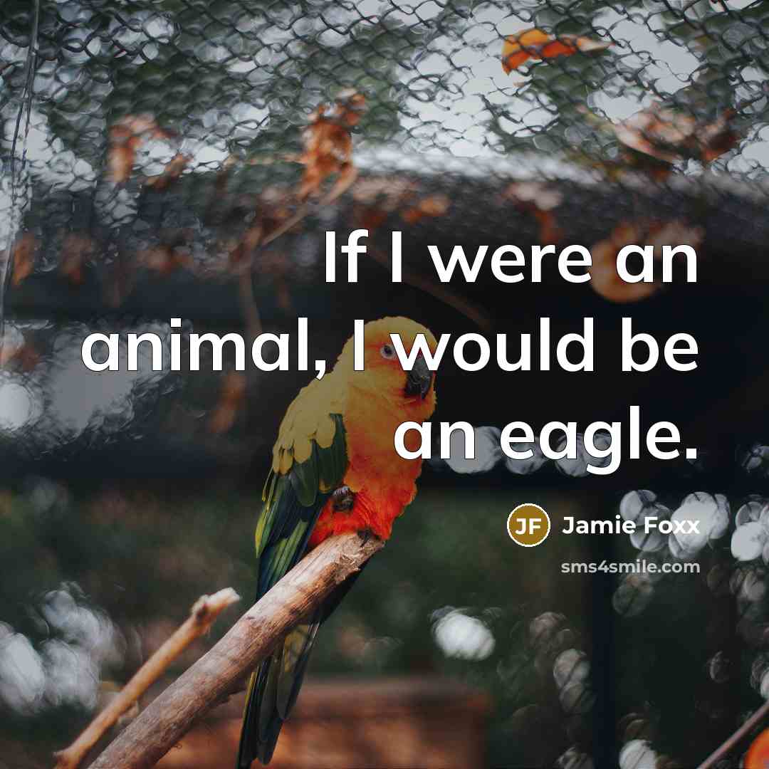 “If I were an animal, I would be an eagle.” quote by Jamie Foxx