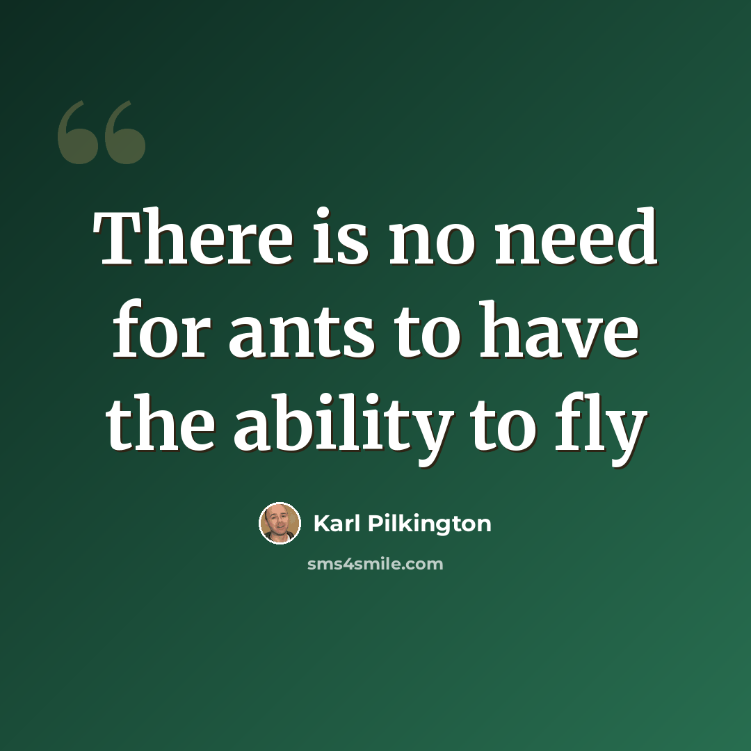 “There is no need for ants to have the ability to fly” quote by Karl Pilkington
