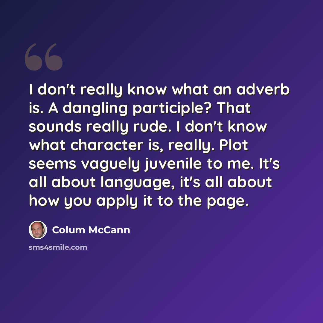 “I don't really know what an adverb is. A dangling participle? That sounds really rude. I don't know what character is, really. Plot seems vaguely juvenile to me. It's all about language, it's all about how you apply it to the page.” quote by Colum McCann