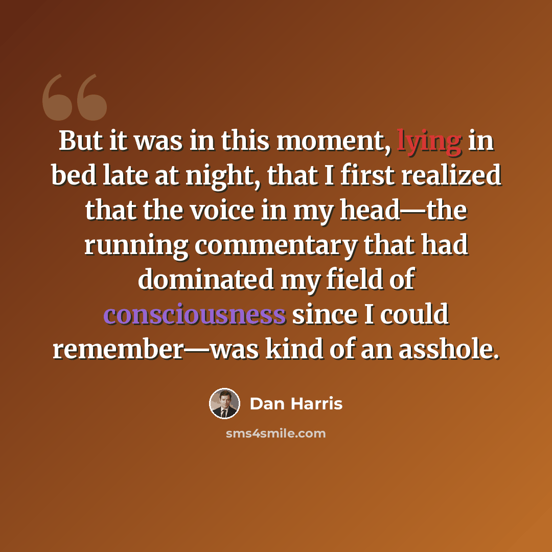 “But it was in this moment, lying in bed late at night, that I first realized that the voice in my head—the running commentary that had dominated my field of consciousness since I could remember—was kind of an asshole.” quote by Dan Harris