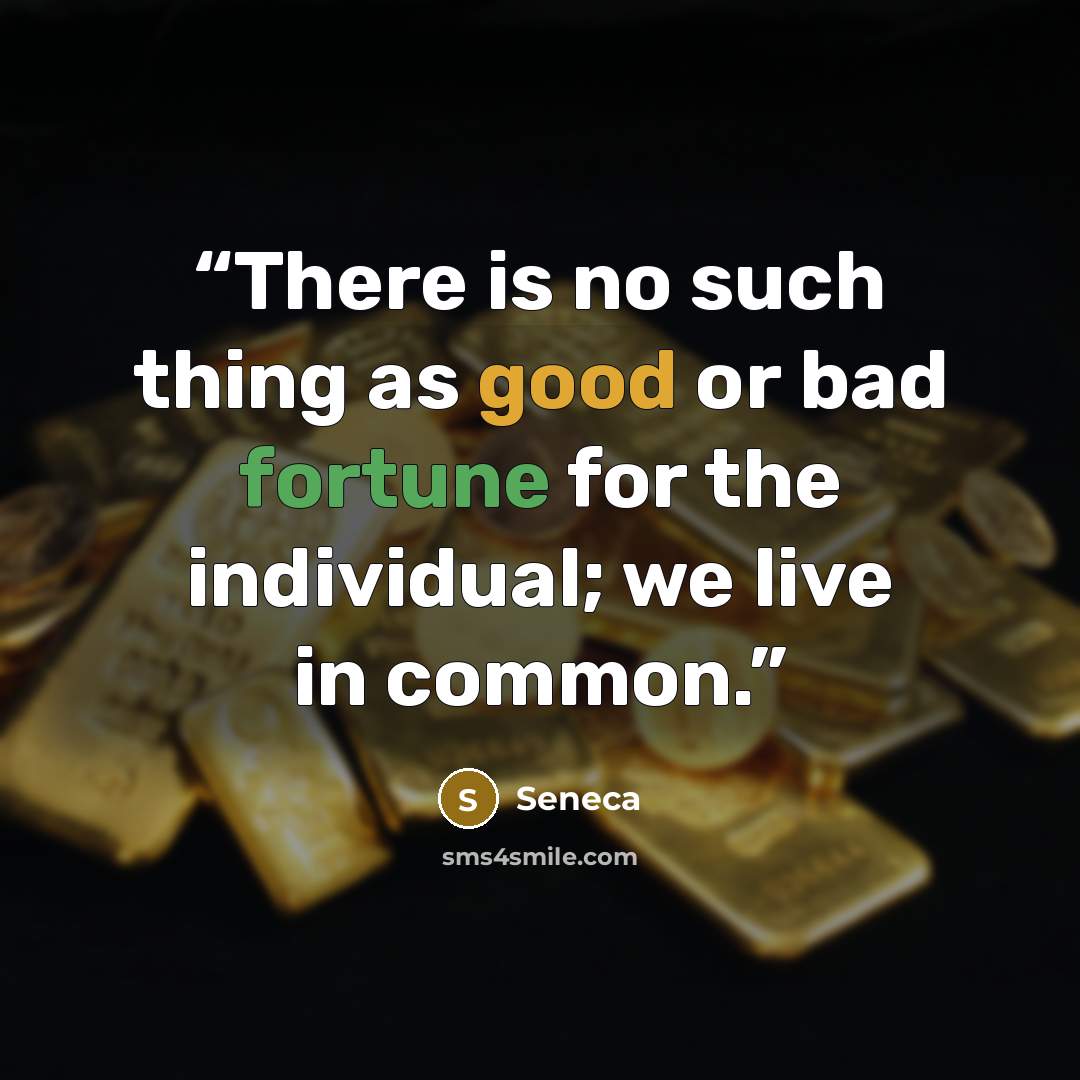 “There is no such thing as good or bad fortune for the individual; we live in common.” quote by Seneca