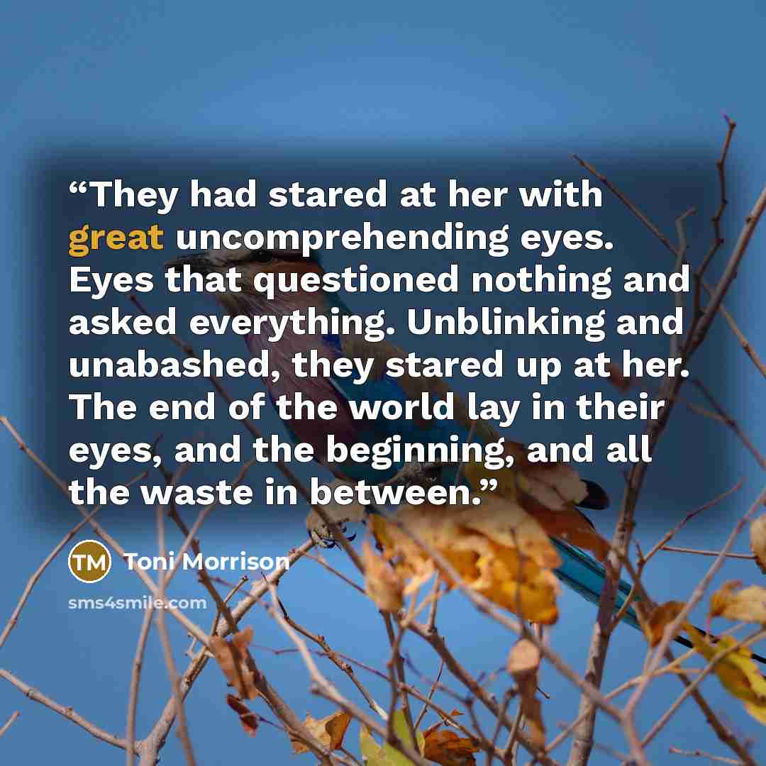 “They had stared at her with great uncomprehending eyes. Eyes that questioned nothing and asked everything. Unblinking and unabashed, they stared up at her. The end of the world lay in their eyes, and the beginning, and all the waste in between.” quote by Toni Morrison