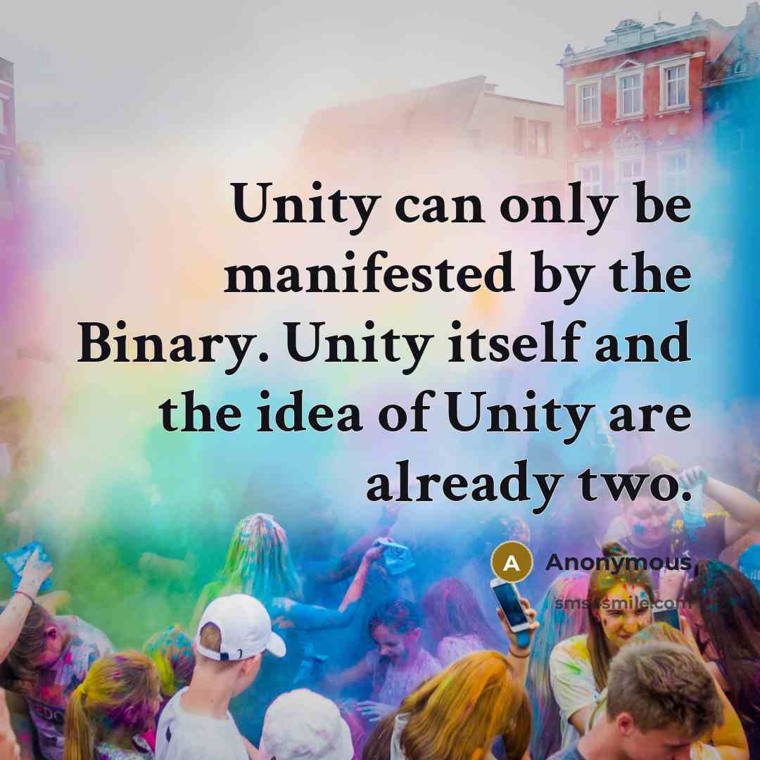 “Unity can only be manifested by the Binary. Unity itself and the idea of Unity are already two.” quote by Anonymous