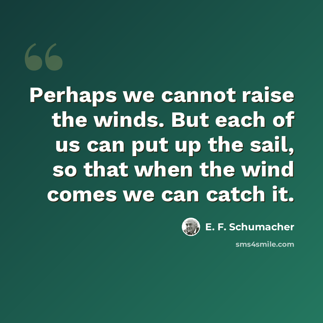 “Perhaps we cannot raise the winds. But each of us can put up the sail, so that when the wind comes we can catch it.” quote by E. F. Schumacher