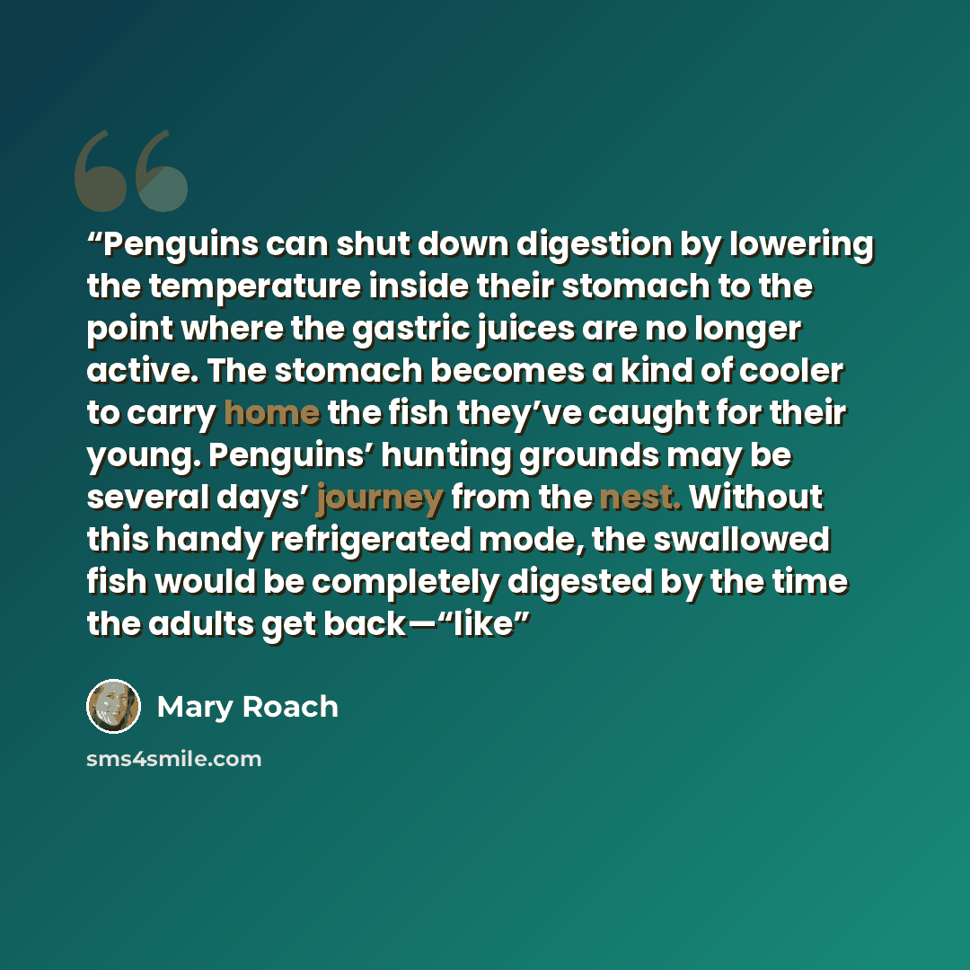 “Penguins can shut down digestion by lowering the temperature inside their stomach to the point where the gastric juices are no longer active. The stomach becomes a kind of cooler to carry home the fish they’ve caught for their young. Penguins’ hunting grounds may be several days’ journey from the…” quote by Mary Roach