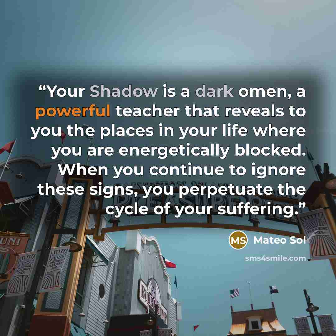 “Your Shadow is a dark omen, a powerful teacher that reveals to you the places in your life where you are energetically blocked. When you continue to ignore these signs, you perpetuate the cycle of your suffering.” quote by Mateo Sol
