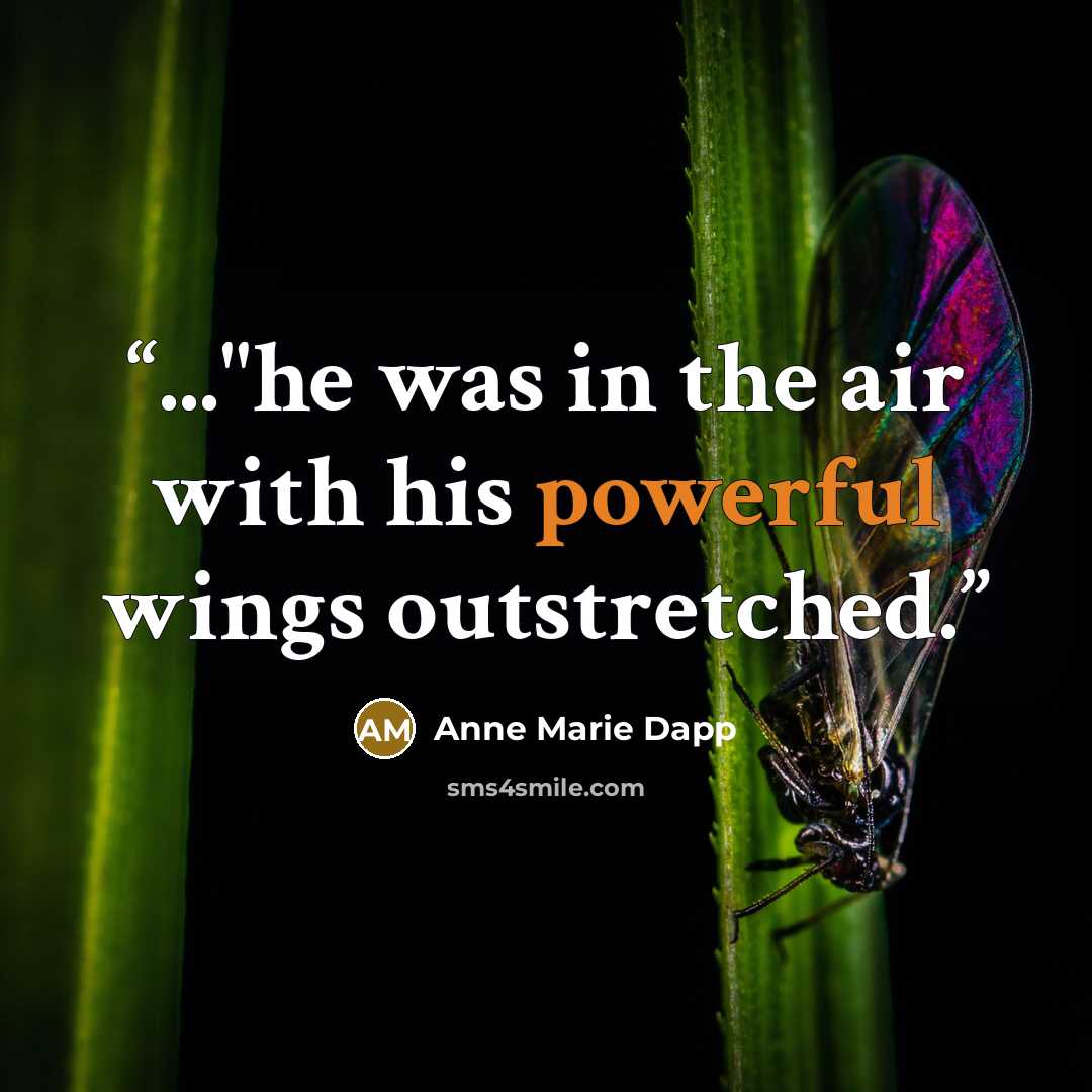 “..."he was in the air with his powerful wings outstretched.” quote by Anne Marie Dapp