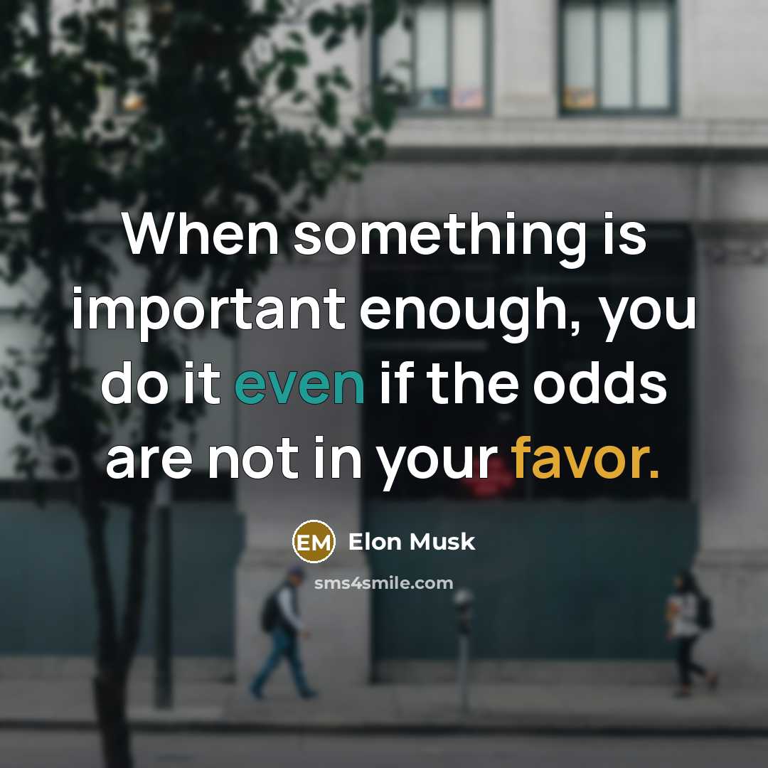 “When something is important enough, you do it even if the odds are not in your favor.” quote by Elon Musk
