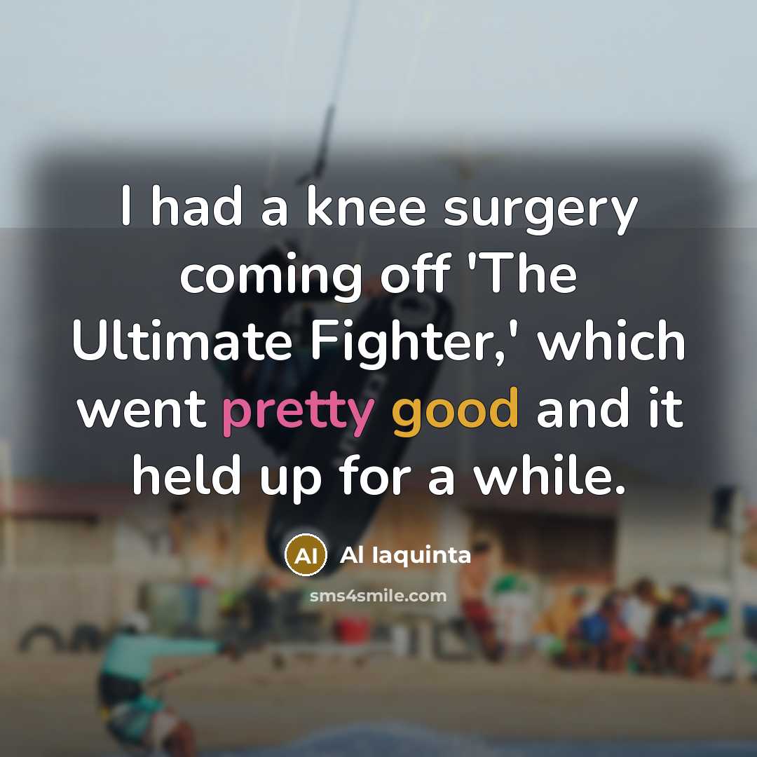 “I had a knee surgery coming off 'The Ultimate Fighter,' which went pretty good and it held up for a while.” quote by Al Iaquinta