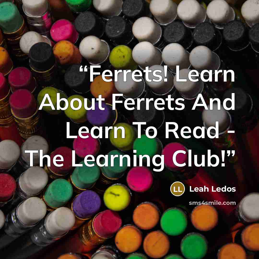 “Ferrets! Learn About Ferrets And Learn To Read - The Learning Club!” quote by Leah Ledos