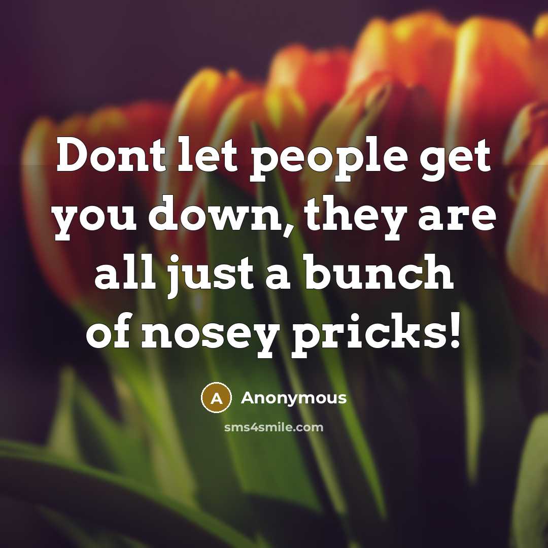 “Dont let people get you down, they are all just a bunch of nosey pricks!” quote by Anonymous