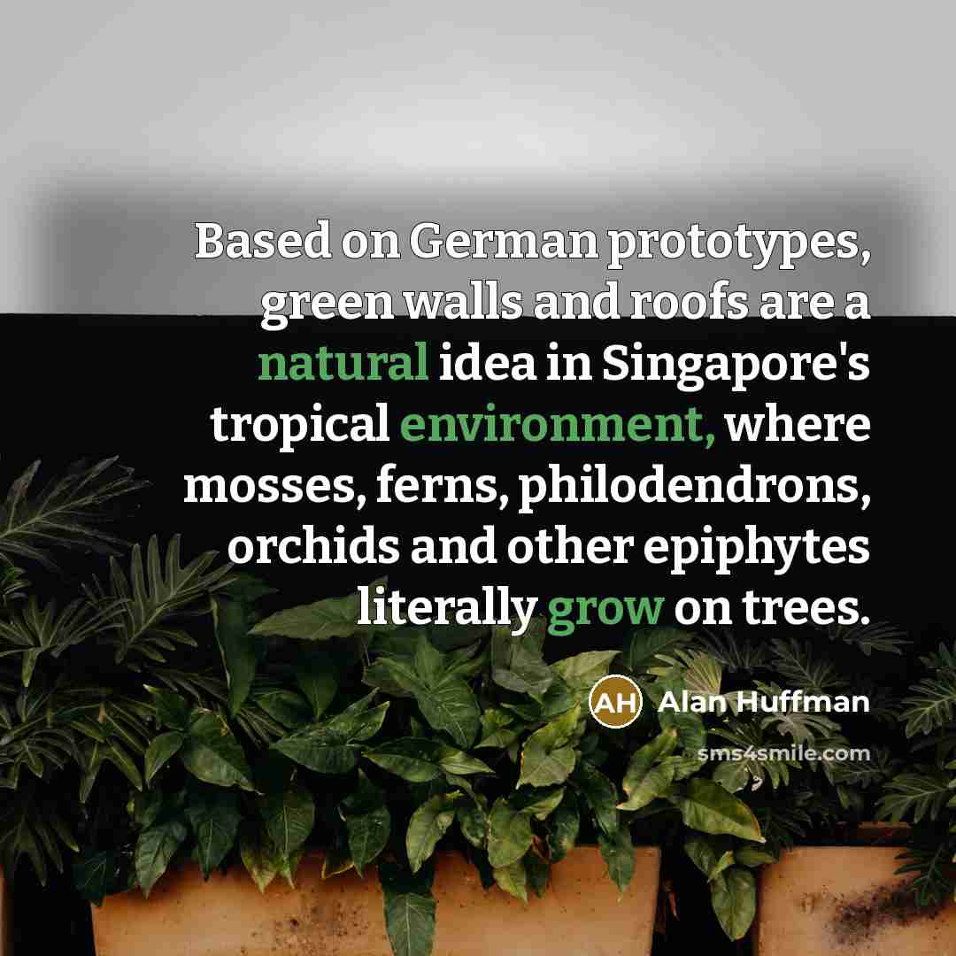 “Based on German prototypes, green walls and roofs are a natural idea in Singapore's tropical environment, where mosses, ferns, philodendrons, orchids and other epiphytes literally grow on trees.” quote by Alan Huffman