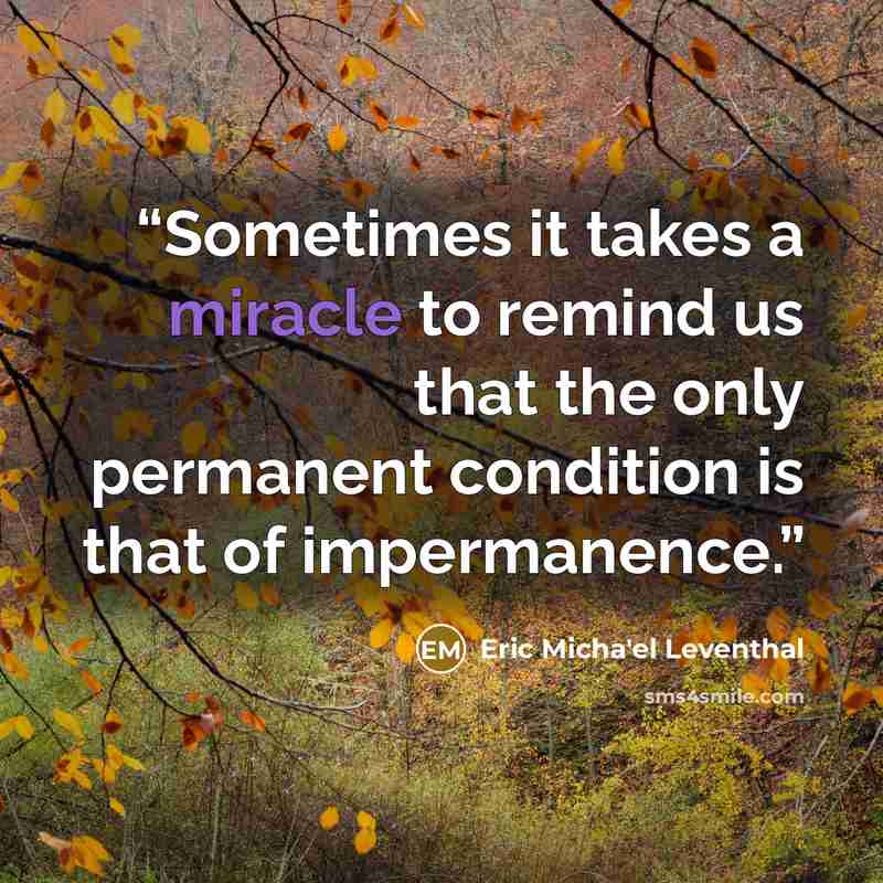 “Sometimes it takes a miracle to remind us that the only permanent condition is that of impermanence.” quote by Eric Micha'el Leventhal