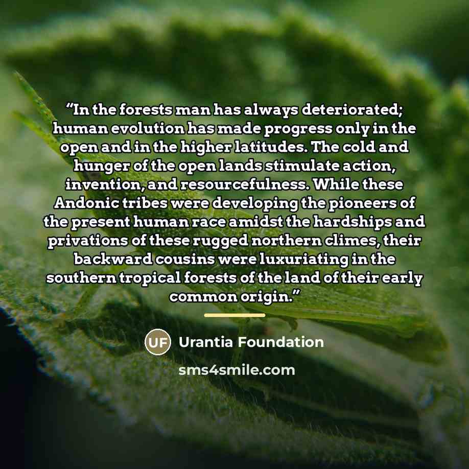 “In the forests man has always deteriorated; human evolution has made progress only in the open and in the higher latitudes. The cold and hunger of the open lands stimulate action, invention, and resourcefulness. While these Andonic tribes were developing the pioneers of the present human race…” quote by Urantia Foundation
