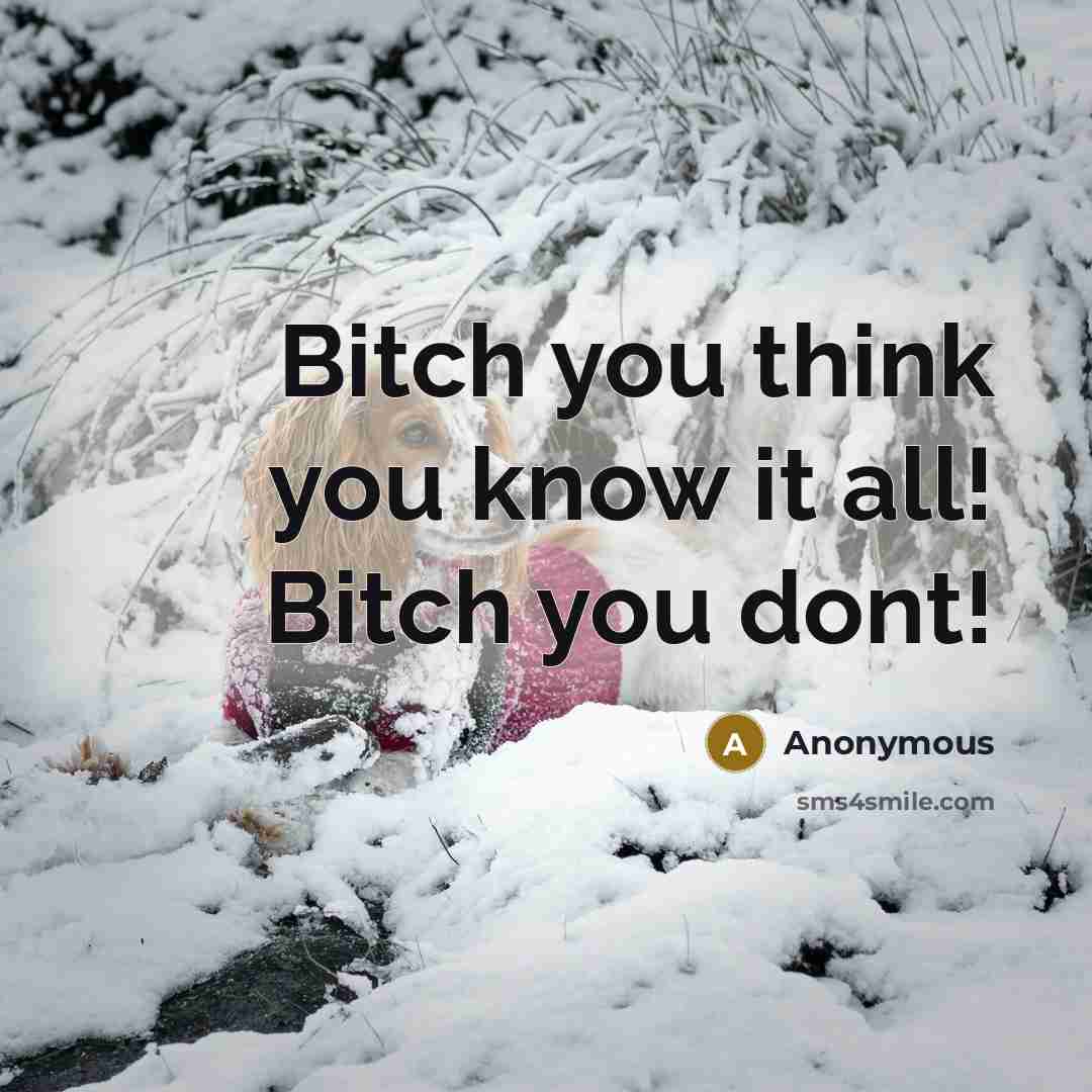 “Bitch you think you know it all! Bitch you dont!” quote by Anonymous