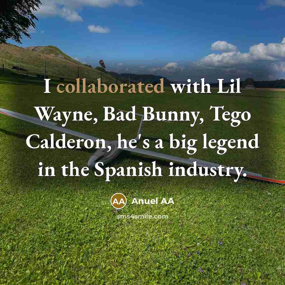 “I collaborated with Lil Wayne, Bad Bunny, Tego Calderon, he's a big legend in the Spanish industry.” quote by Anuel AA